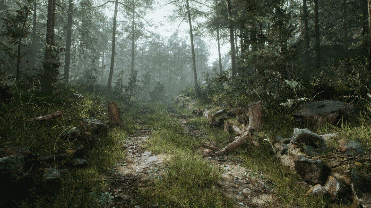 Virtual standing set — a misty pine forest path winding through ferns and fallen logs, an Unreal Engine virtual production set at L.A. & ABQ Castle Studios