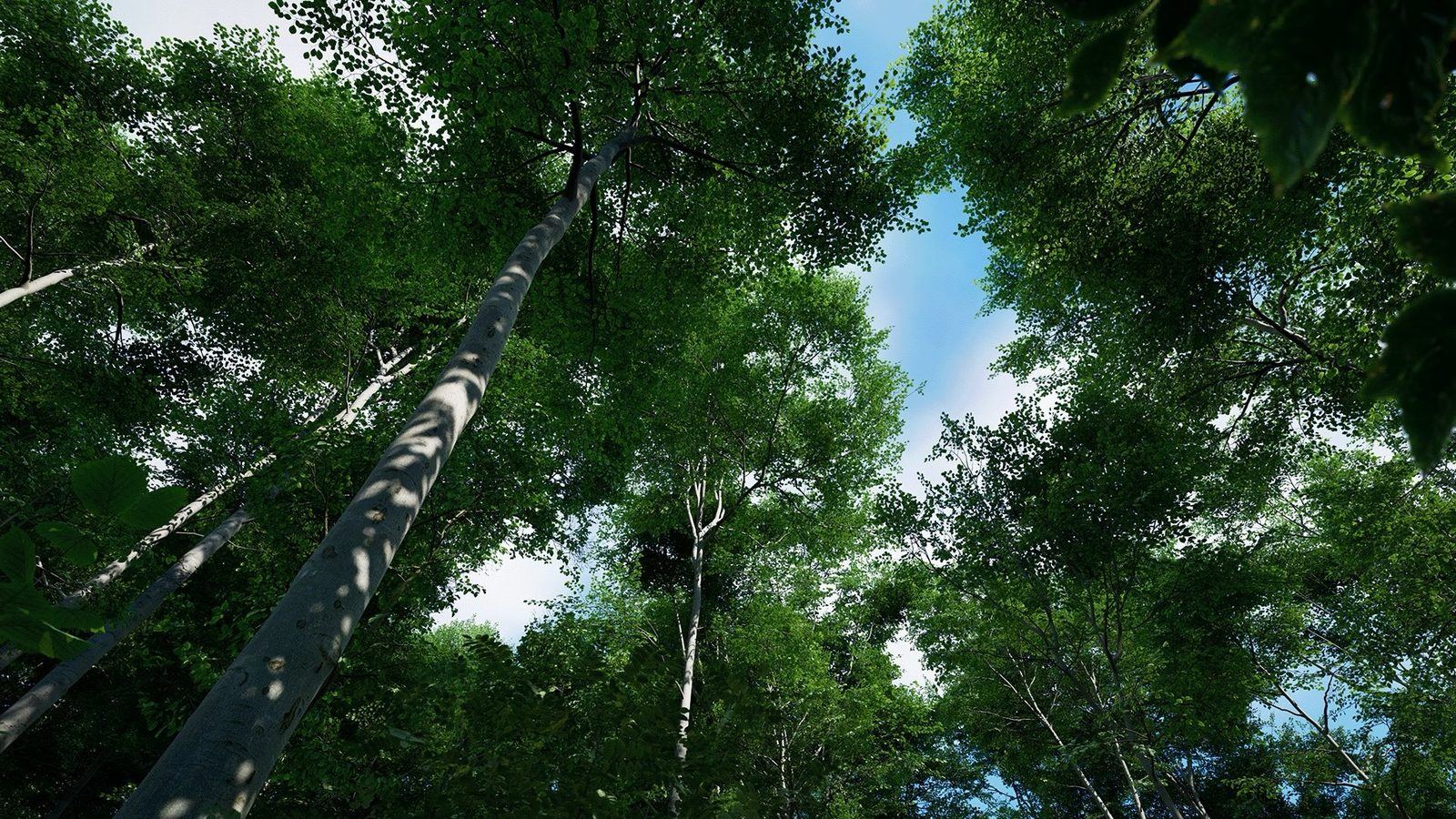 Beech Trees virtual production standing set — angle 4 on the L.A. & ABQ Castle Studios stage
