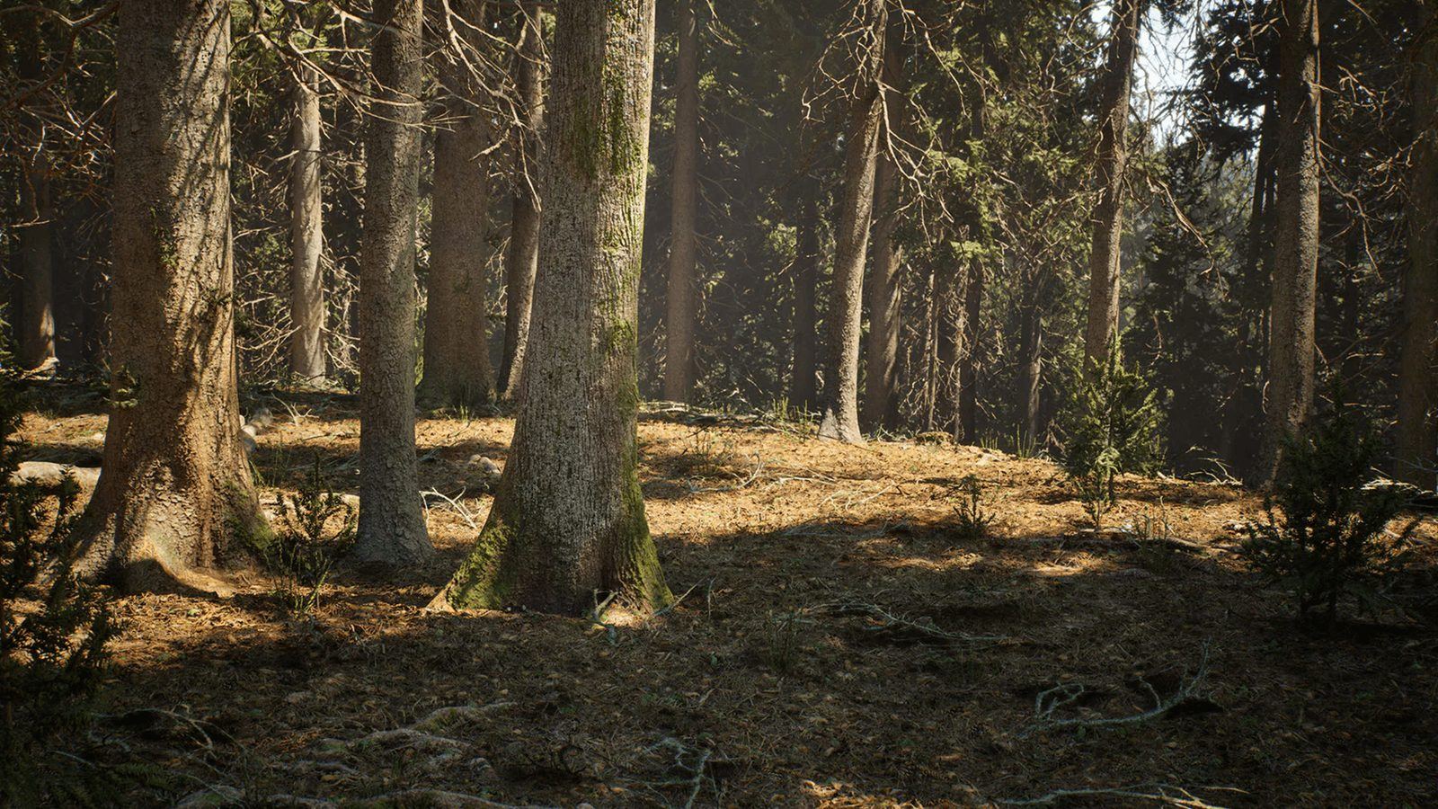 Conifer Trees Forest Biome virtual production standing set — angle 2 on the L.A. & ABQ Castle Studios stage