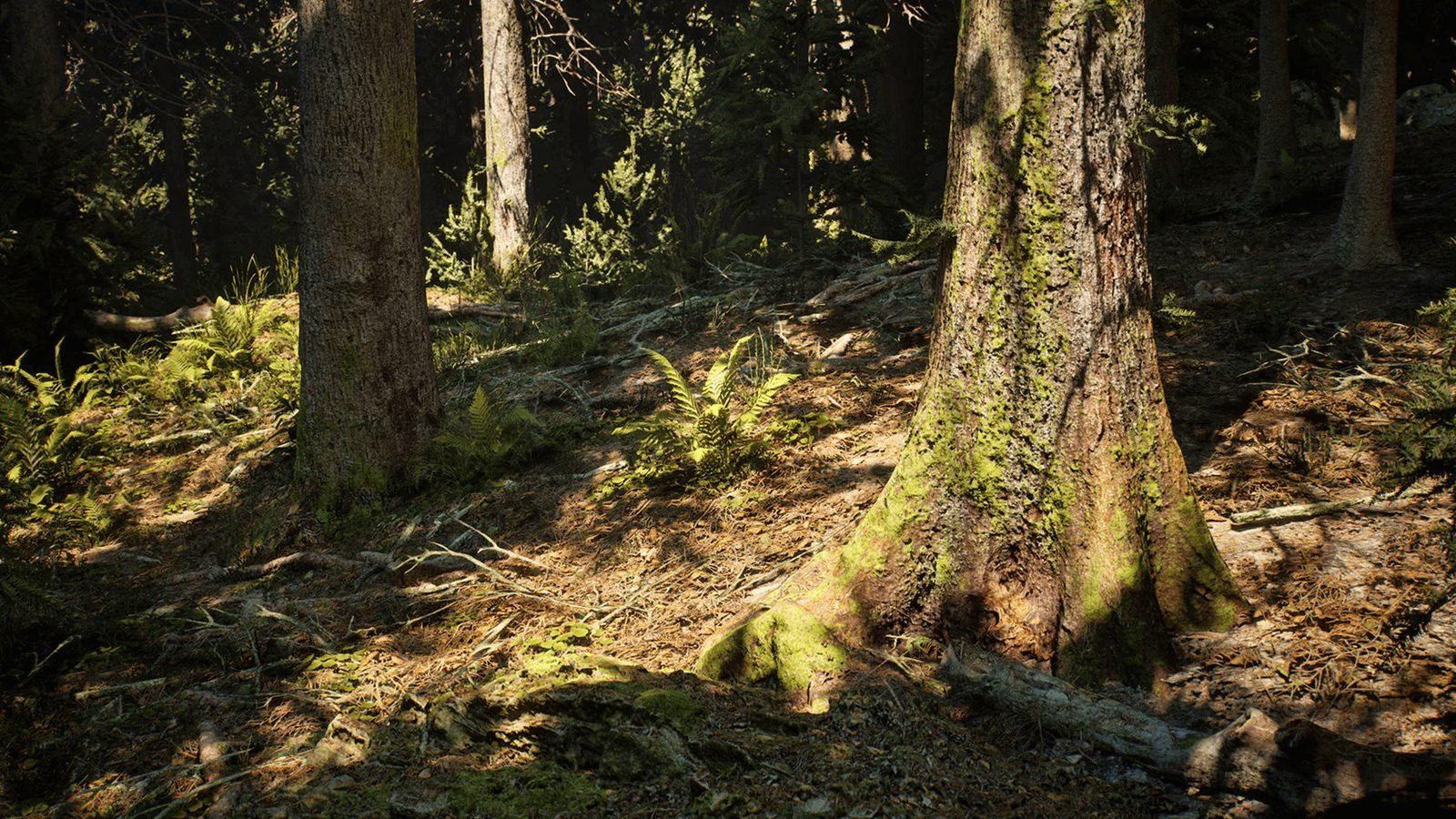 Conifer Trees Forest Biome virtual production standing set — angle 11 on the L.A. & ABQ Castle Studios stage
