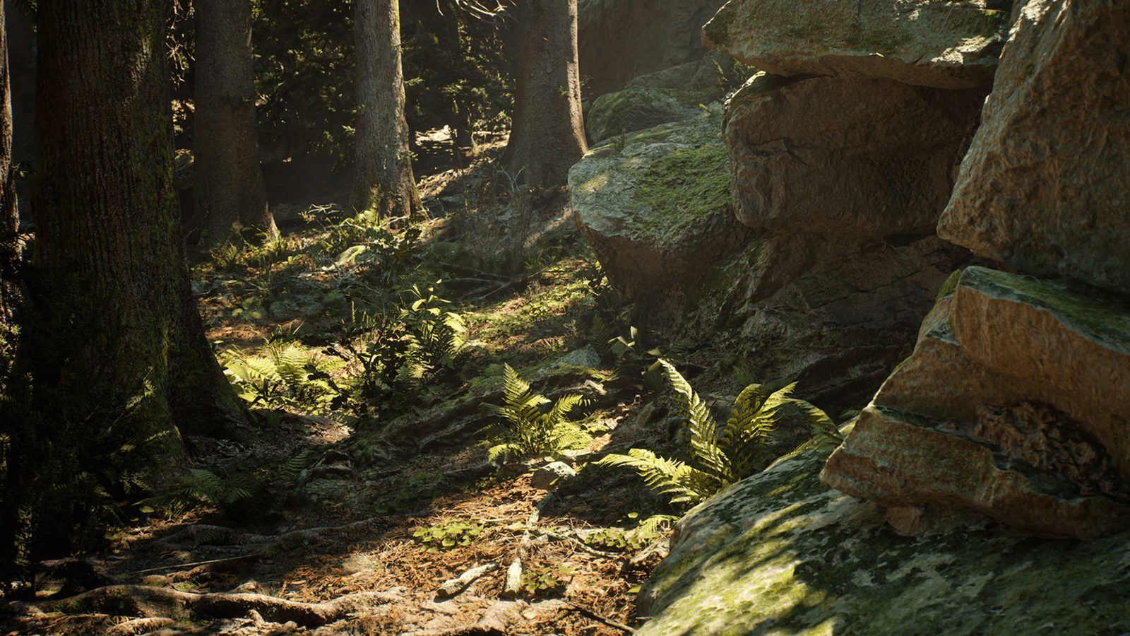 Conifer Trees Forest Biome virtual production standing set — angle 3 on the L.A. & ABQ Castle Studios stage