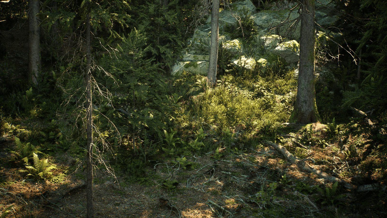 Conifer Trees Forest Biome virtual production standing set — angle 4 on the L.A. & ABQ Castle Studios stage