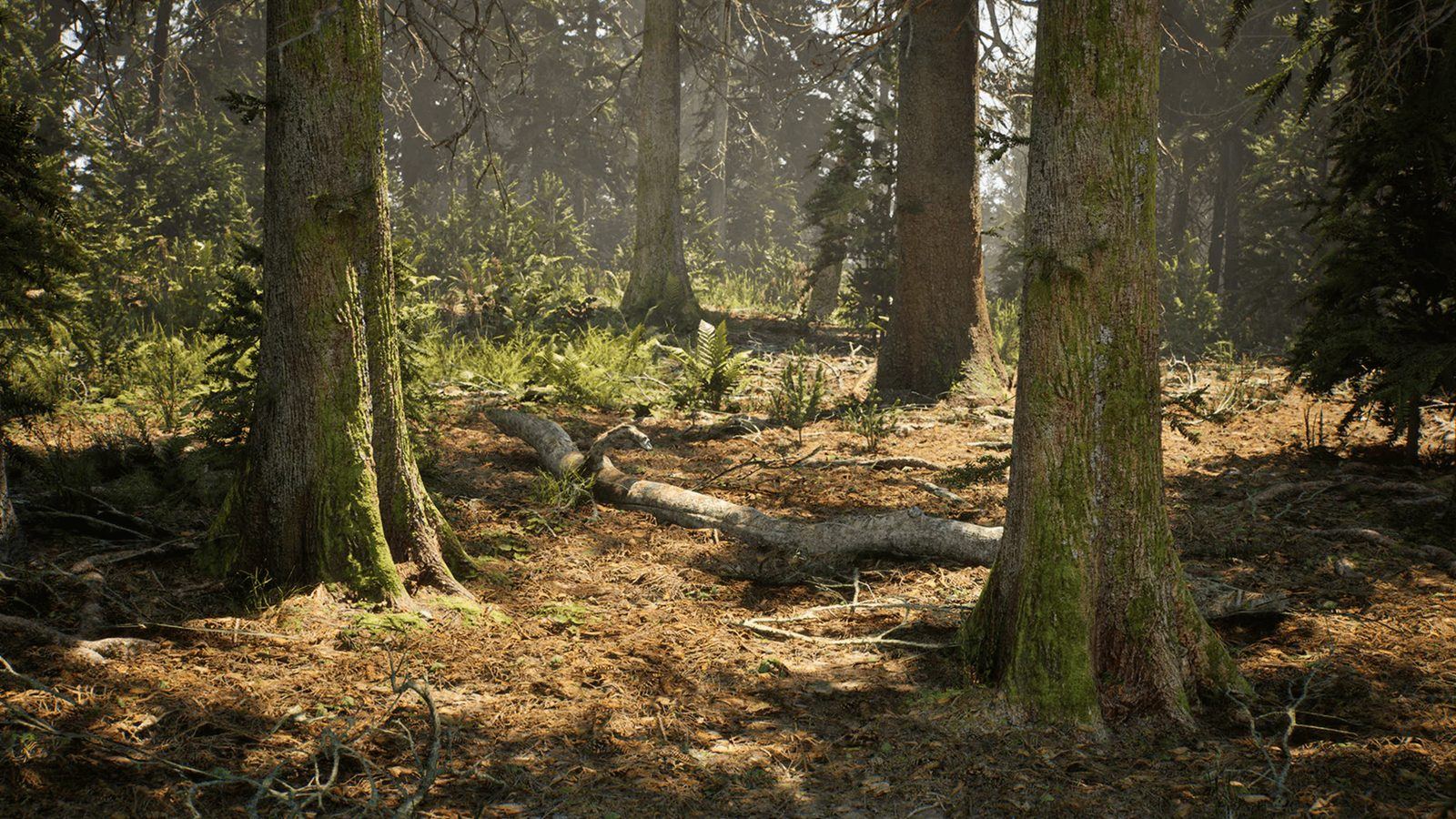 Conifer Trees Forest Biome virtual production standing set — angle 7 on the L.A. & ABQ Castle Studios stage