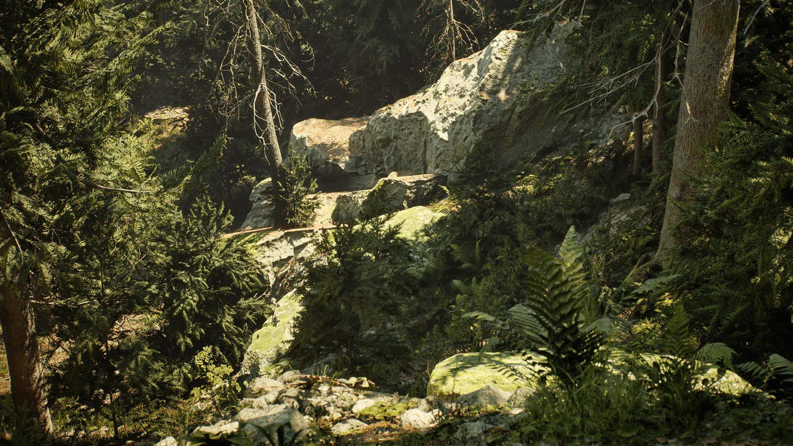 Conifer Trees Forest Biome virtual production standing set — angle 8 on the L.A. & ABQ Castle Studios stage