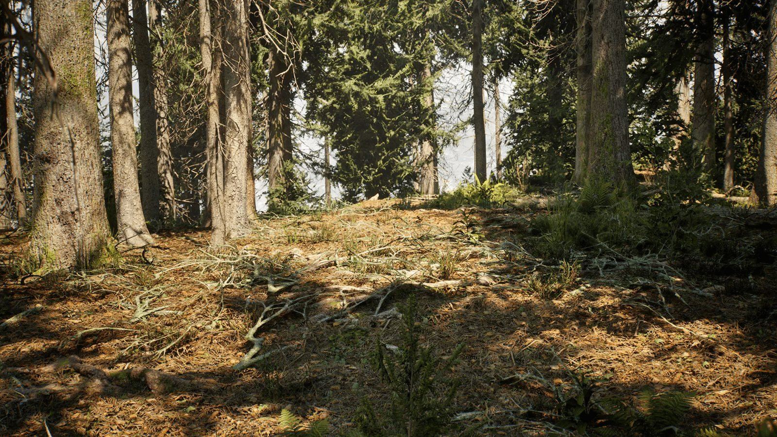 Conifer Trees Forest Biome virtual production standing set — angle 10 on the L.A. & ABQ Castle Studios stage