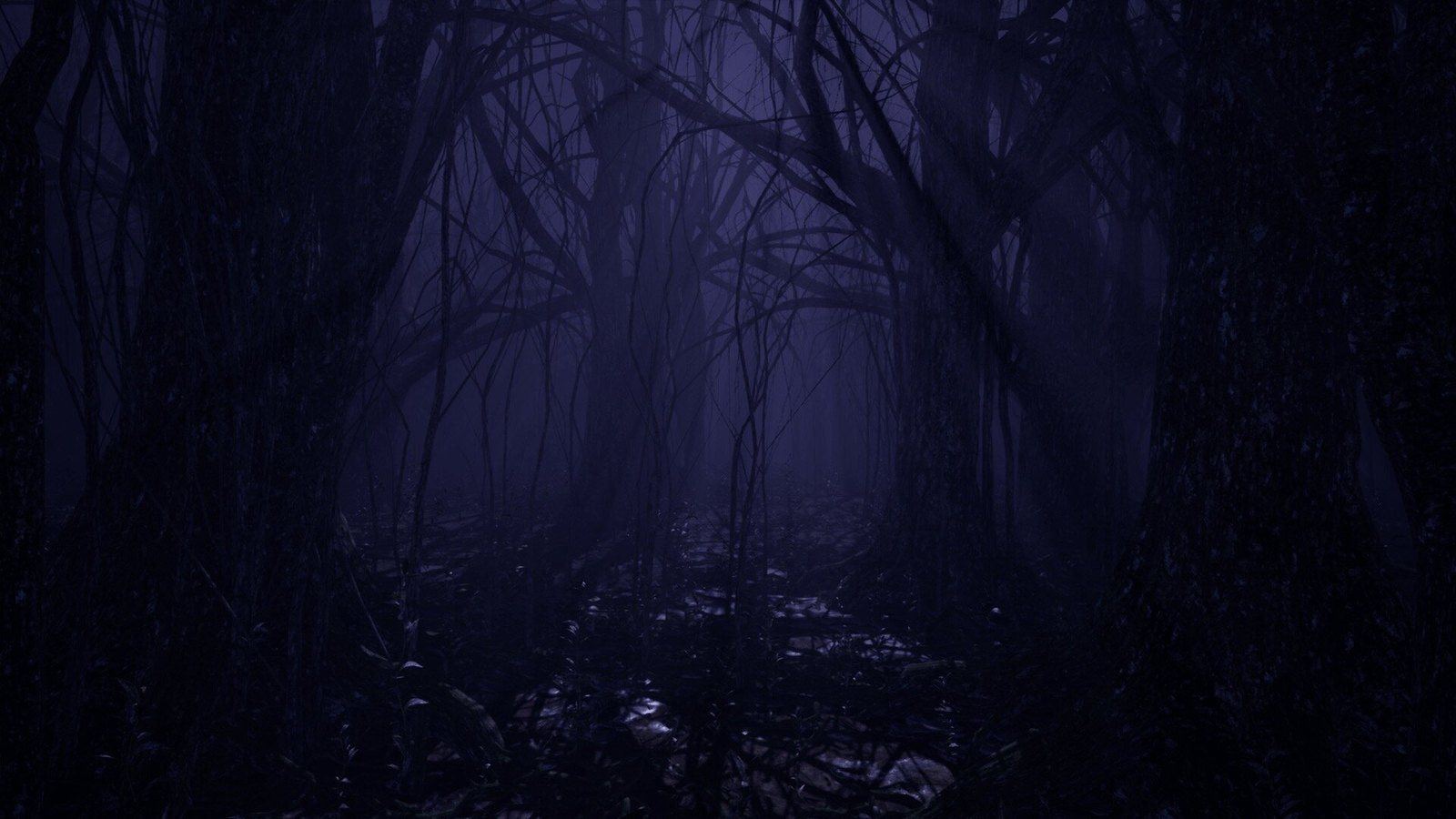 Dark Forest and Cabin virtual production standing set — angle 12 on the L.A. & ABQ Castle Studios stage