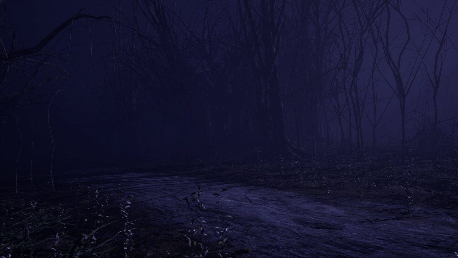 Dark Forest and Cabin virtual production standing set — angle 3 on the L.A. & ABQ Castle Studios stage