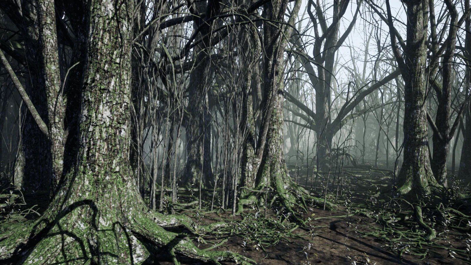 Dark Forest and Cabin virtual production standing set — angle 4 on the L.A. & ABQ Castle Studios stage