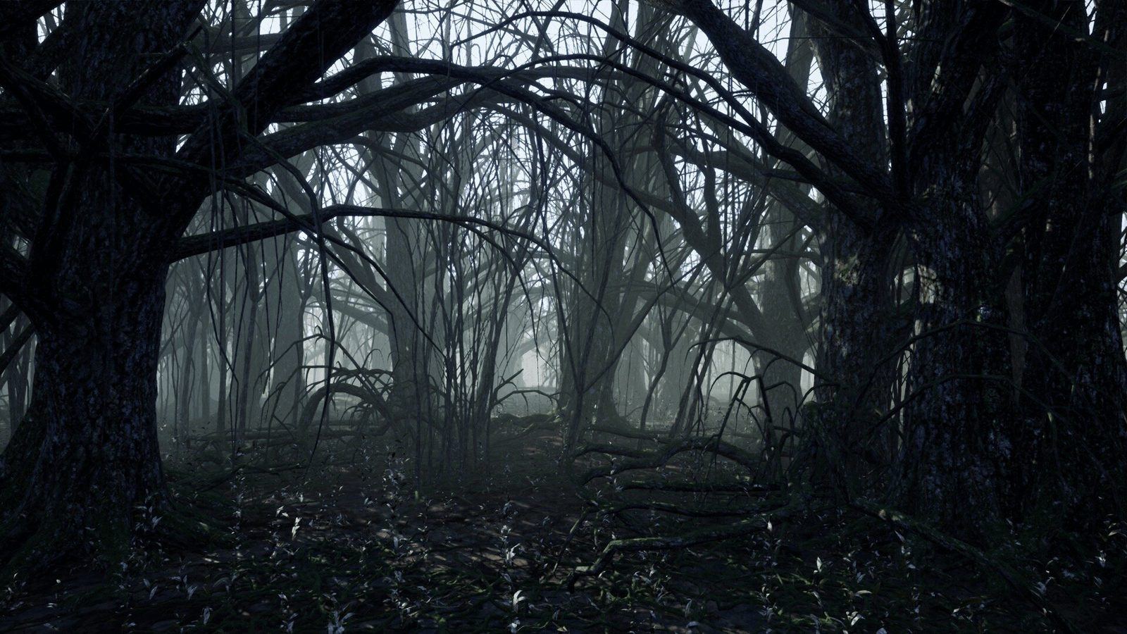 Dark Forest and Cabin virtual production standing set — angle 6 on the L.A. & ABQ Castle Studios stage