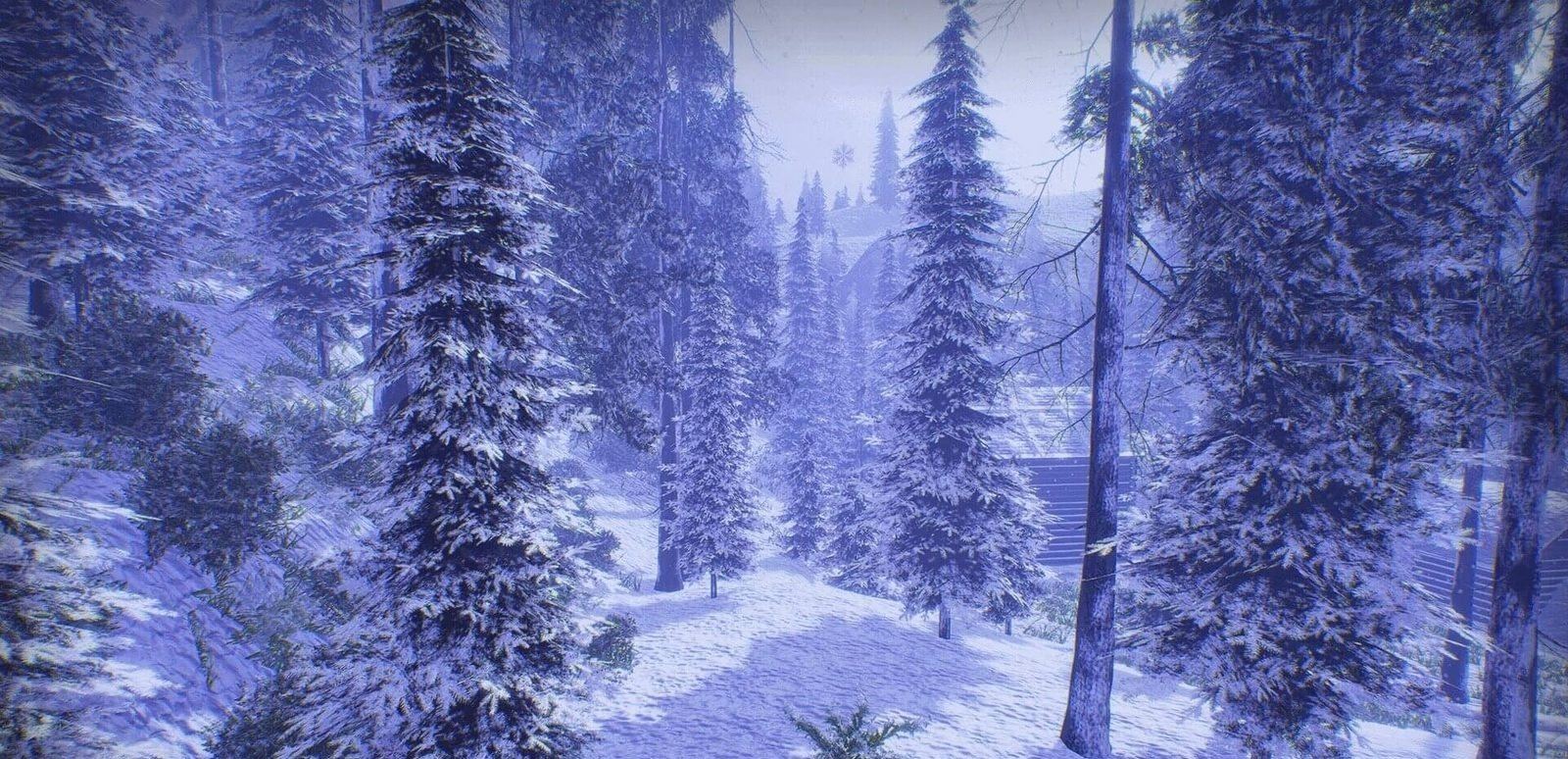 Forest virtual production standing set — angle 13 on the L.A. & ABQ Castle Studios stage
