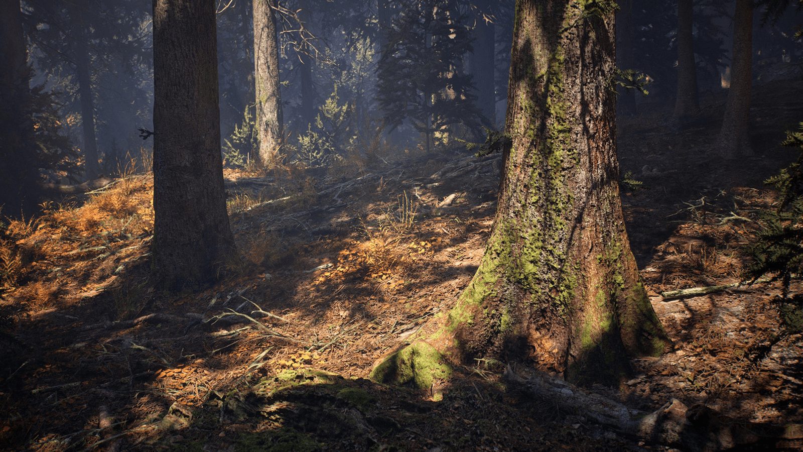 Conifer Trees Forest Biome Set Rental — L.A. & ABQ Castle Studios